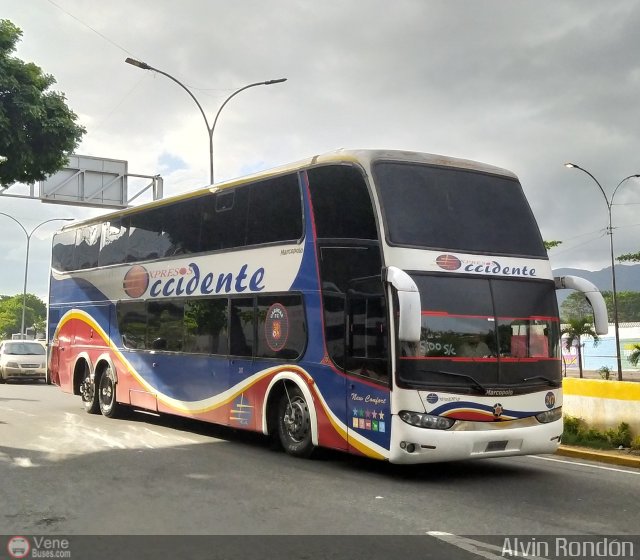 Expresos Occidente 247 por Alvin Rond�n