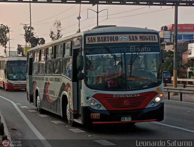 E.T. y Servicios Guadulfo Silva Carbajal 005. por Leonardo Saturno