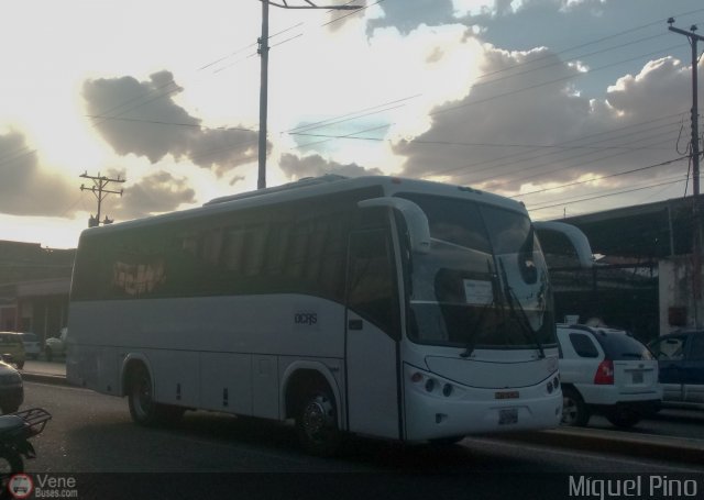 Transporte Clavellino 244 por Miguel Pino