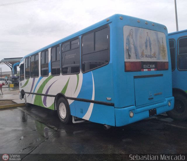 U.L.A.P. Machiques Maracaibo 51 por Sebastin Mercado