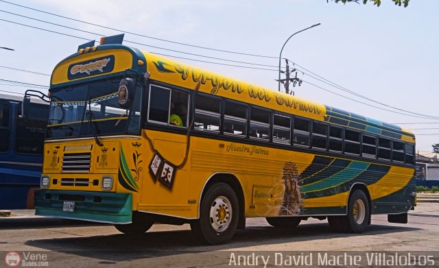 ZU - Colectivos Concepci�n 061 por Andry David Mache Villalobos