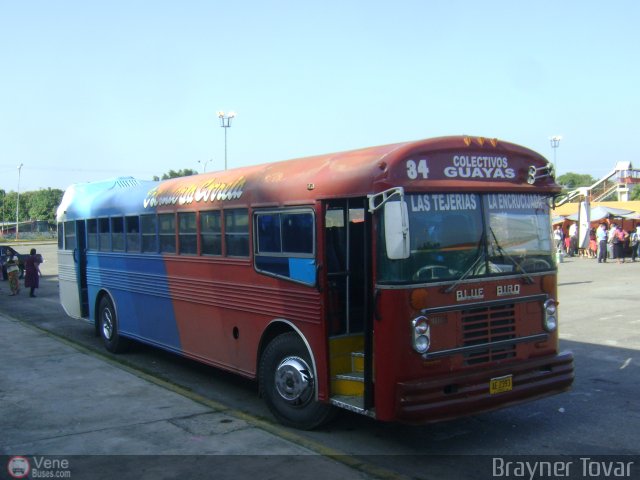 Colectivos Guayas S.A. 034 por Royner Tovar