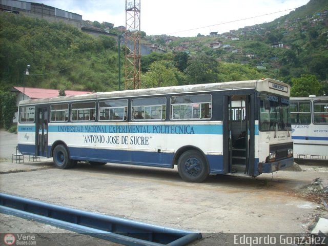 Universitarios y Escolares Yayi-U-01 por Edgardo Gonz�lez