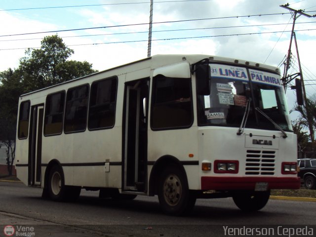 TA - A.C. Autos por puesto Lnea Palmira 031 por Yenderson Cepeda