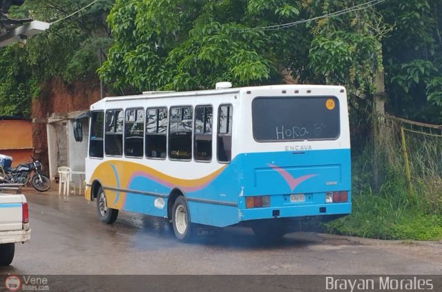 TA - A.C. L�nea Intercomunal 38 por Jerson Nova