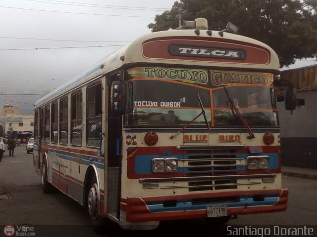 Lnea Tilca - Transporte Inter-Larense C.A. 01 por Santiago Dorante