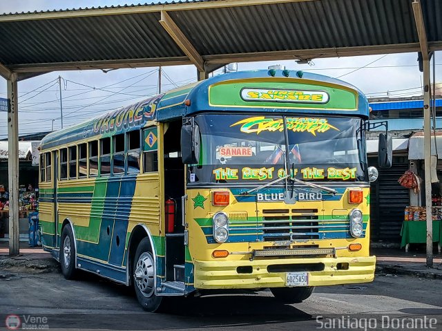L�nea Sanare 02 por Santiago Dorante