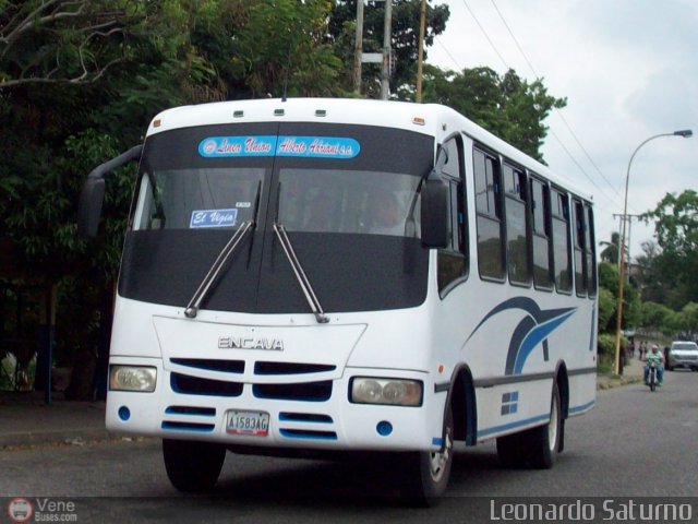 Unin Lnea Alberto Adriani C.A. 02 por Leonardo Saturno