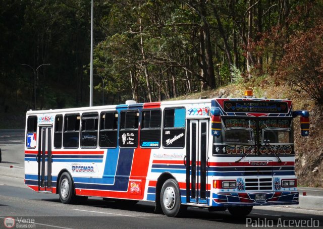 Expresos Pegamar 0010 por Pablo Acevedo