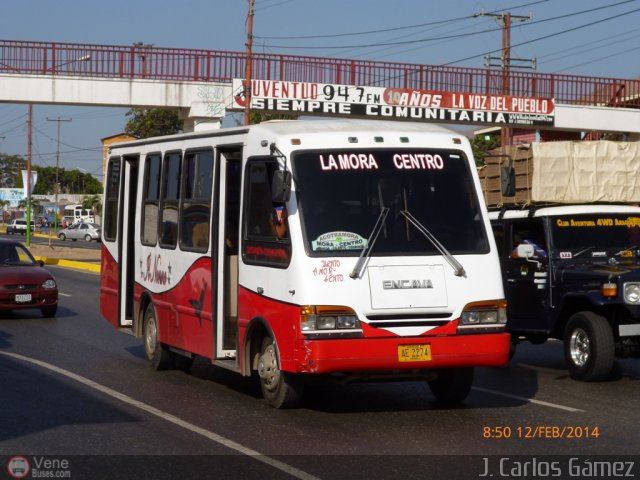 AR - Lnea Acotramora 11 por Alvin Rondn