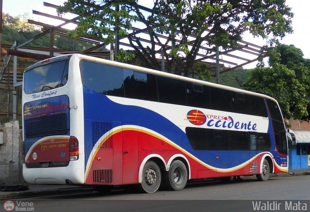 Expresos Occidente 242 por Waldir Mata