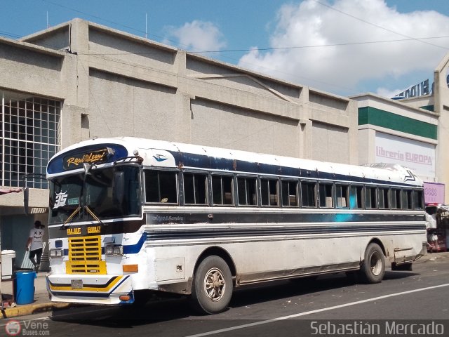 ZU - Ral Leoni 35 por Sebastin Mercado