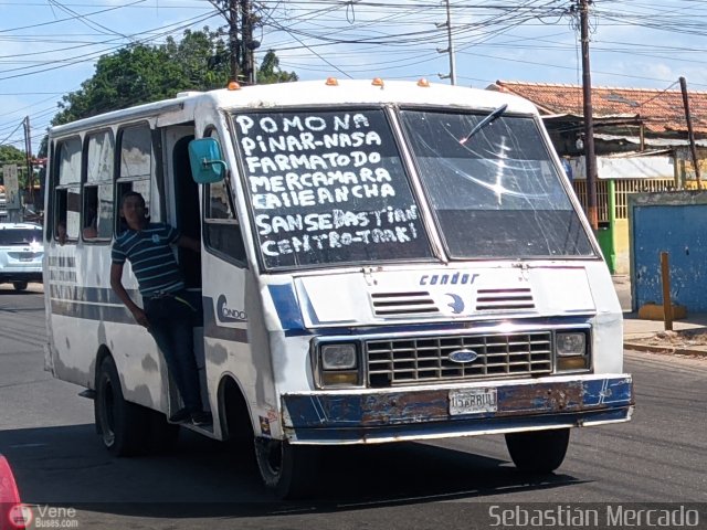 ZU - Colectivo Pomona 07 por Sebastin Mercado