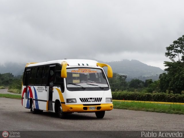 Expresos Ayacucho S.A. 40 por Pablo Acevedo