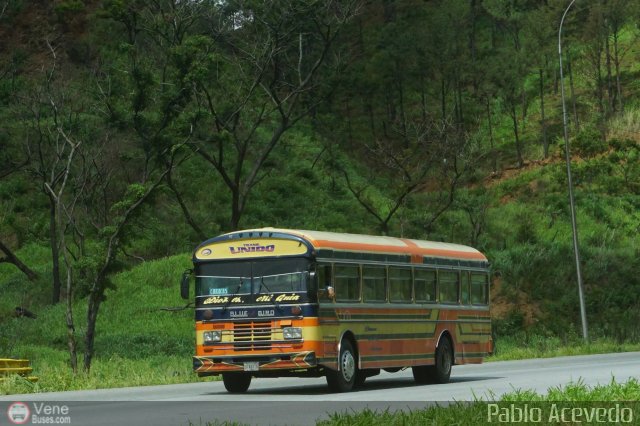 Transporte Unido 033 por Pablo Acevedo
