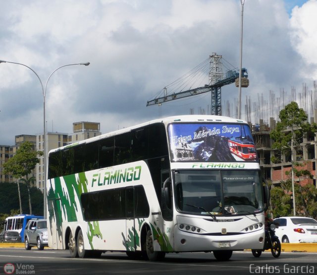 Expresos Flamingo 0341 por Carlos Garc�a