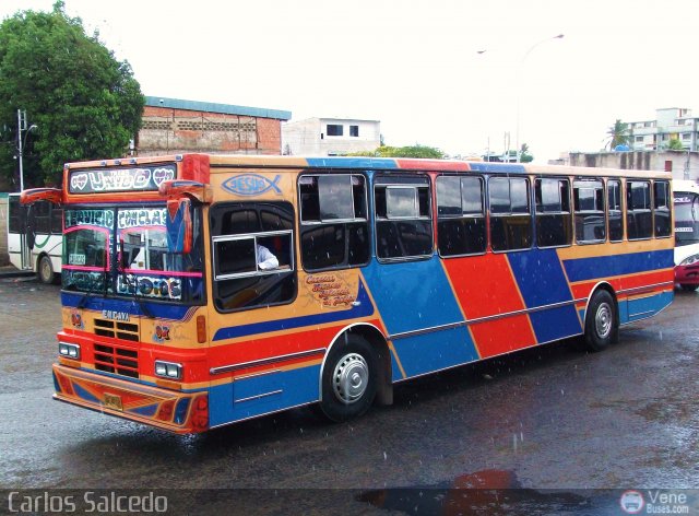 Transporte Unido 007 por Carlos Salcedo