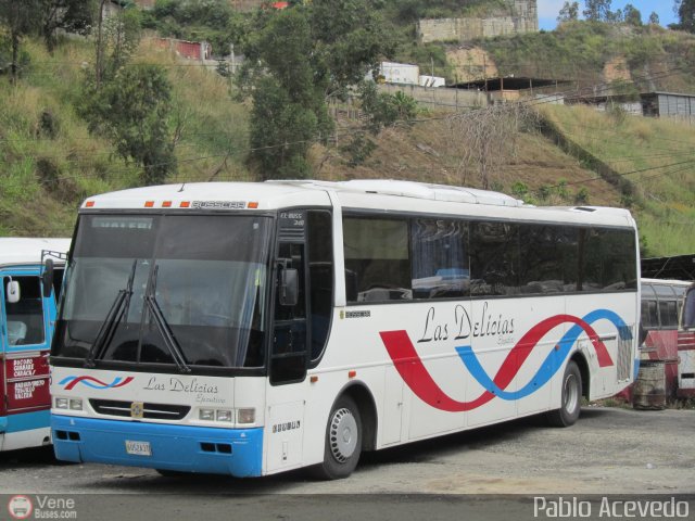 Transporte Las Delicias C.A. E-05 por Pablo Acevedo