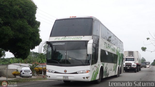 Expresos Flamingo 0141 por Leonardo Saturno