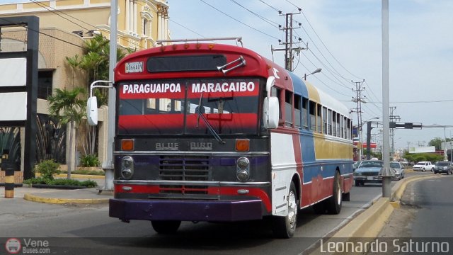 Expresos La Gran Colombia 98 por Leonardo Saturno