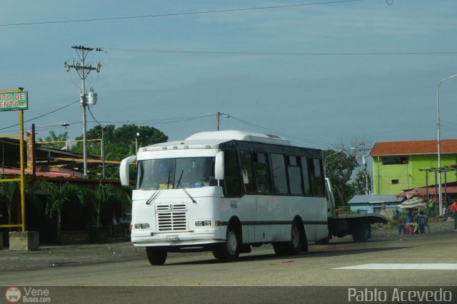 A.C. de Transporte Encarnaci�n 171 por Pablo Acevedo