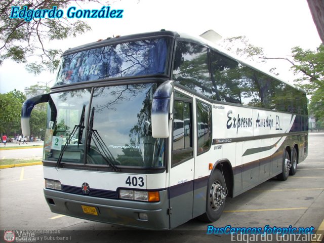 Expresos Amerlujo 403 por Alvin Rondn