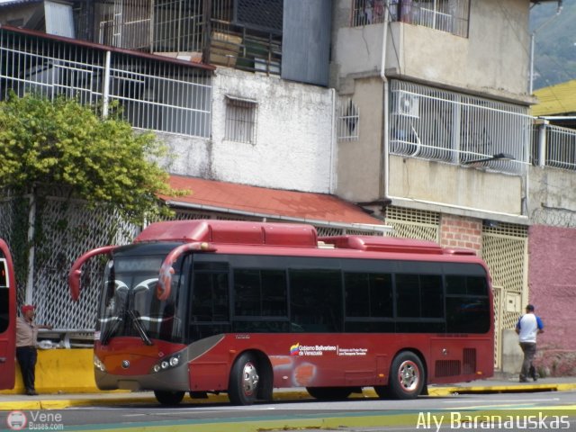 Sin identificacin o Desconocido 100 por Aly Baranauskas