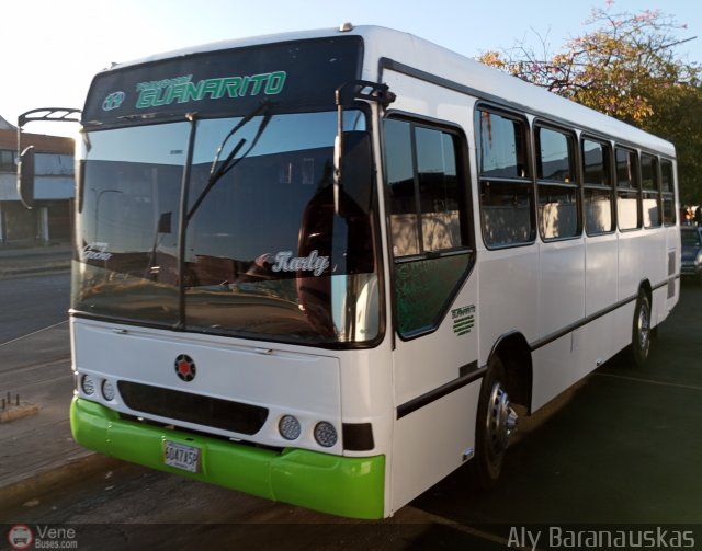 Transporte Guanarito 11 por Aly Baranauskas