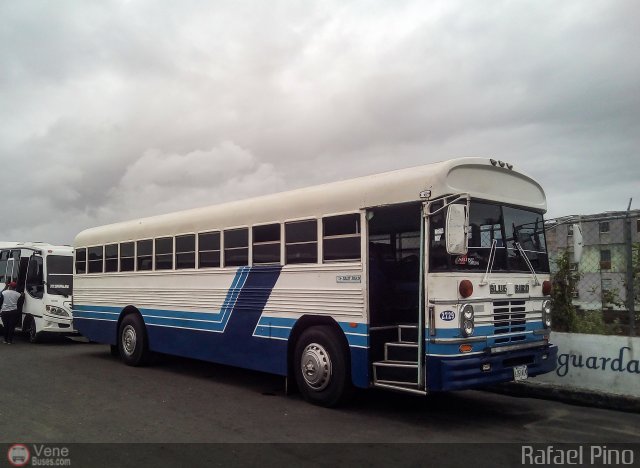 Expresos Caribe 2729 por Rafael Pino