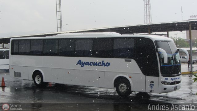 Uni�n Conductores Ayacucho 2046 por Andr�s Ascanio