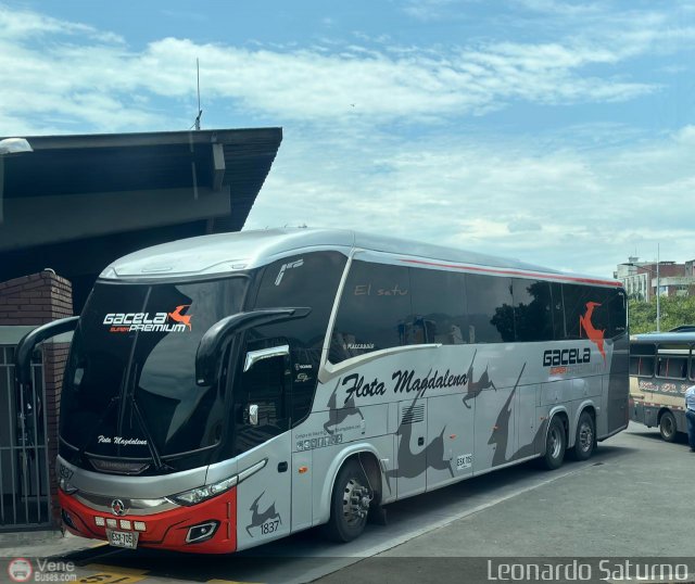 Flota Magdalena S.A. 1837 por Leonardo Saturno