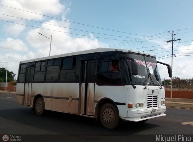 Transporte Tren al Sur C.A. 01 por Miguel Pino