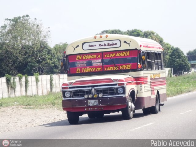Transporte Flor de Barinas 90 por Pablo Acevedo