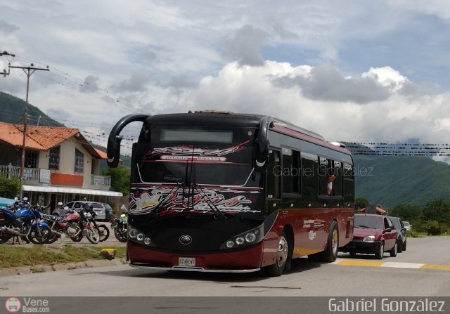 Colectivo Los Andes 28 por Gabriel Gonzlez