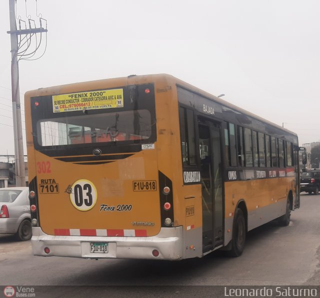 E. de S. M�ltiples F�nix 2000 S.A.C. 302 por Leonardo Saturno