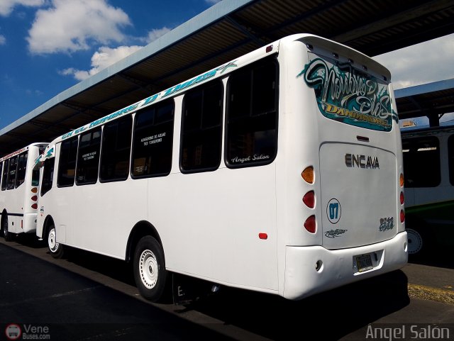 A.C. de Transporte N�mero Uno R.L. 007 por �ngel Sal�n