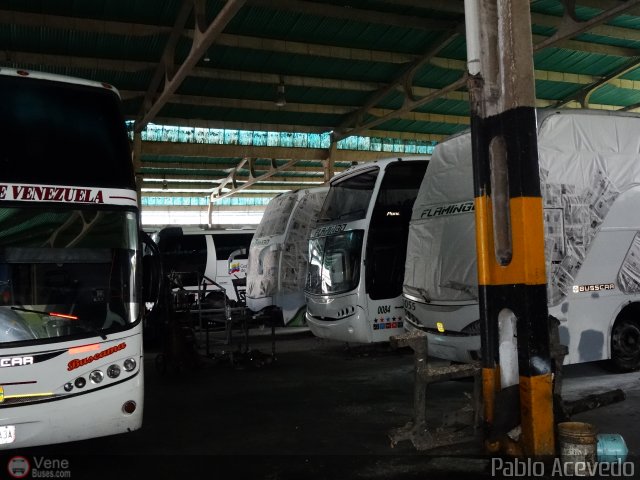 Garajes Paradas y Terminales San-Cristobal por Pablo Acevedo