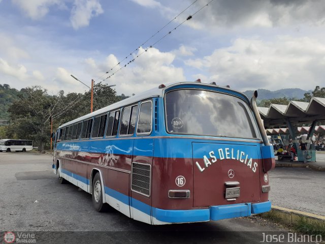 Transporte Las Delicias C.A. 16 por Jos� Brice�o