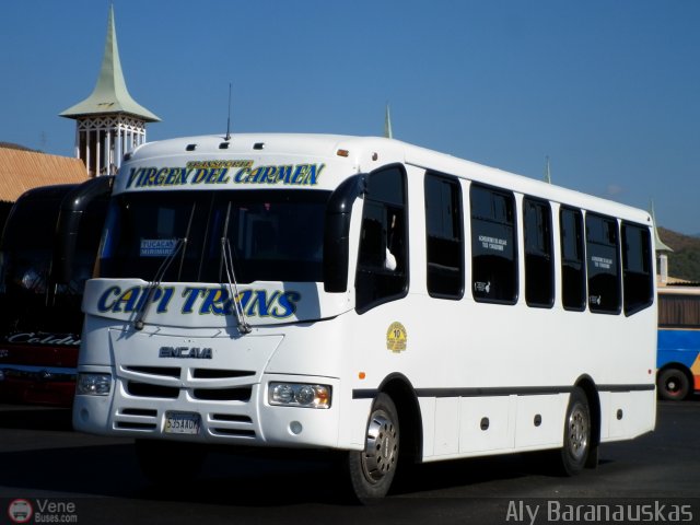 Transporte Virgen del Carmen 10 por Aly Baranauskas