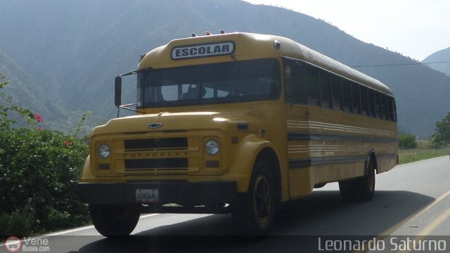 Universitarios y Escolares LS01 por Leonardo Saturno