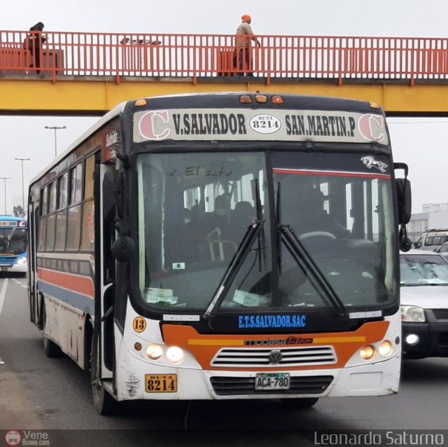 E.T.S. Salvador S.A.C. 013 por Leonardo Saturno