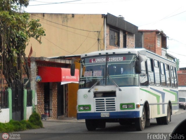 Lnea Unin Cordero 001 por Freddy Salas