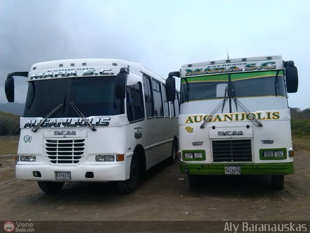 Garajes Paradas y Terminales Puerto Cabello por Aly Baranauskas