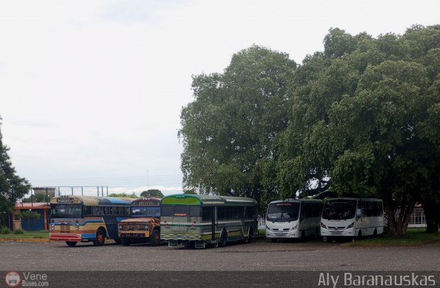 Garajes Paradas y Terminales La-Fria por Aly Baranauskas