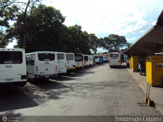 Garajes Paradas y Terminales Barinas por Yenderson Cepeda