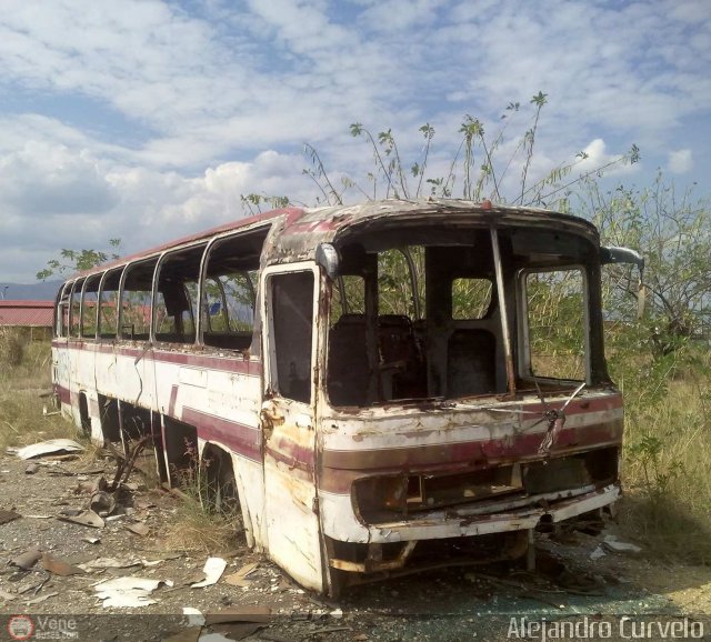 En Chiveras Abandonados Recuperacin 2905 por Alejandro Curvelo