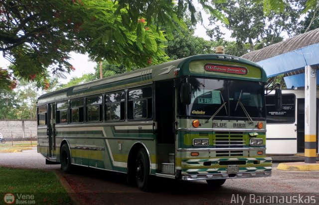 Expresos J�uregui 013 por Aly Baranauskas