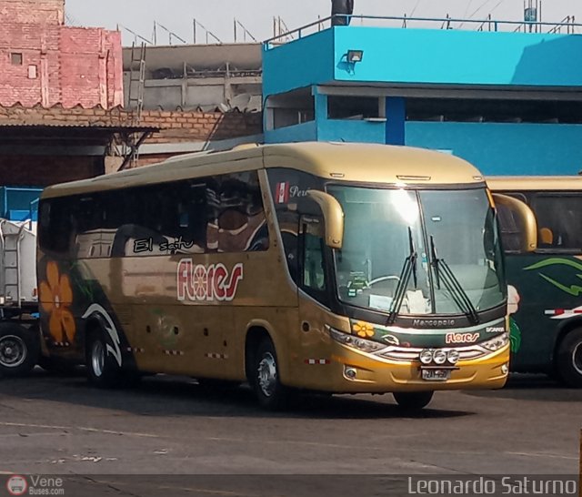 Transporte Flores Hermanos S.R.L 950 por Leonardo Saturno