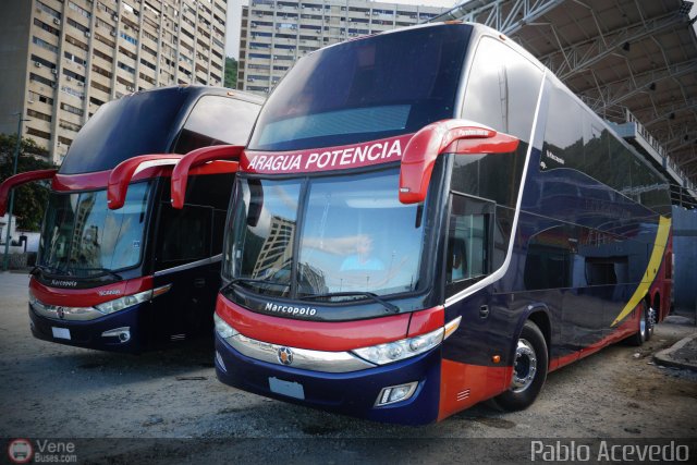 Tigres de Aragua B.B.C. 02 por Pablo Acevedo