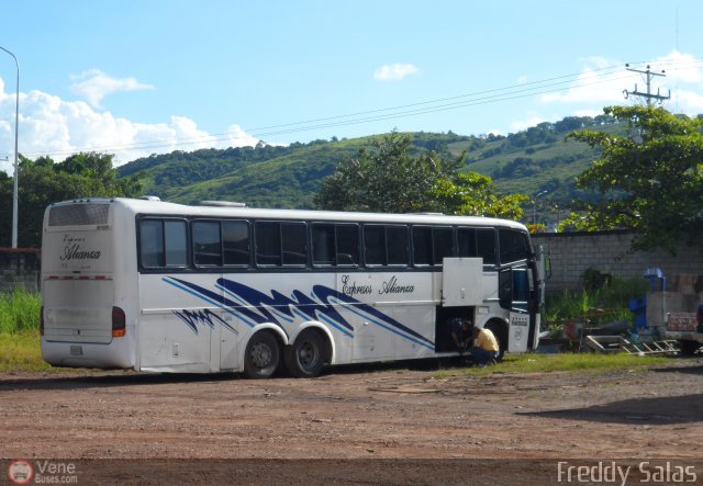 Expresos Alianza 306 por Freddy Salas